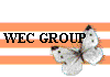  WEC GROUP 